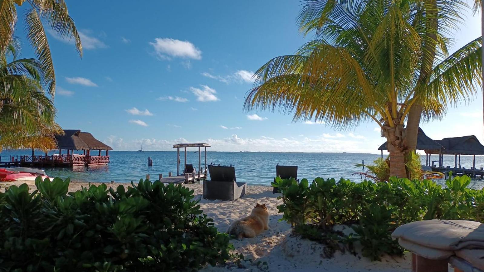 Cancun Private Apartment المظهر الخارجي الصورة